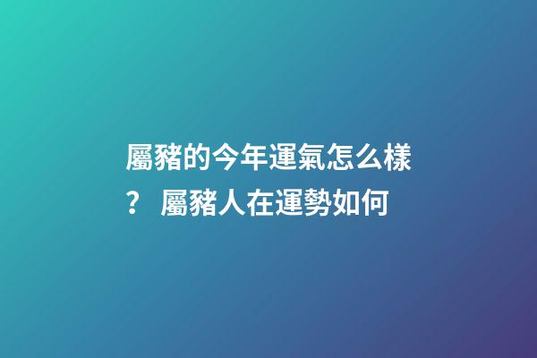 屬豬的今年運氣怎么樣？ 屬豬人在運勢如何